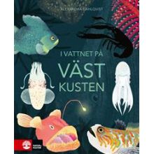 I vattnet på Västkusten