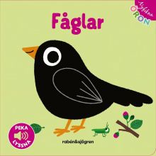 Nyfikna öron - Fåglar Peka - lyssna!